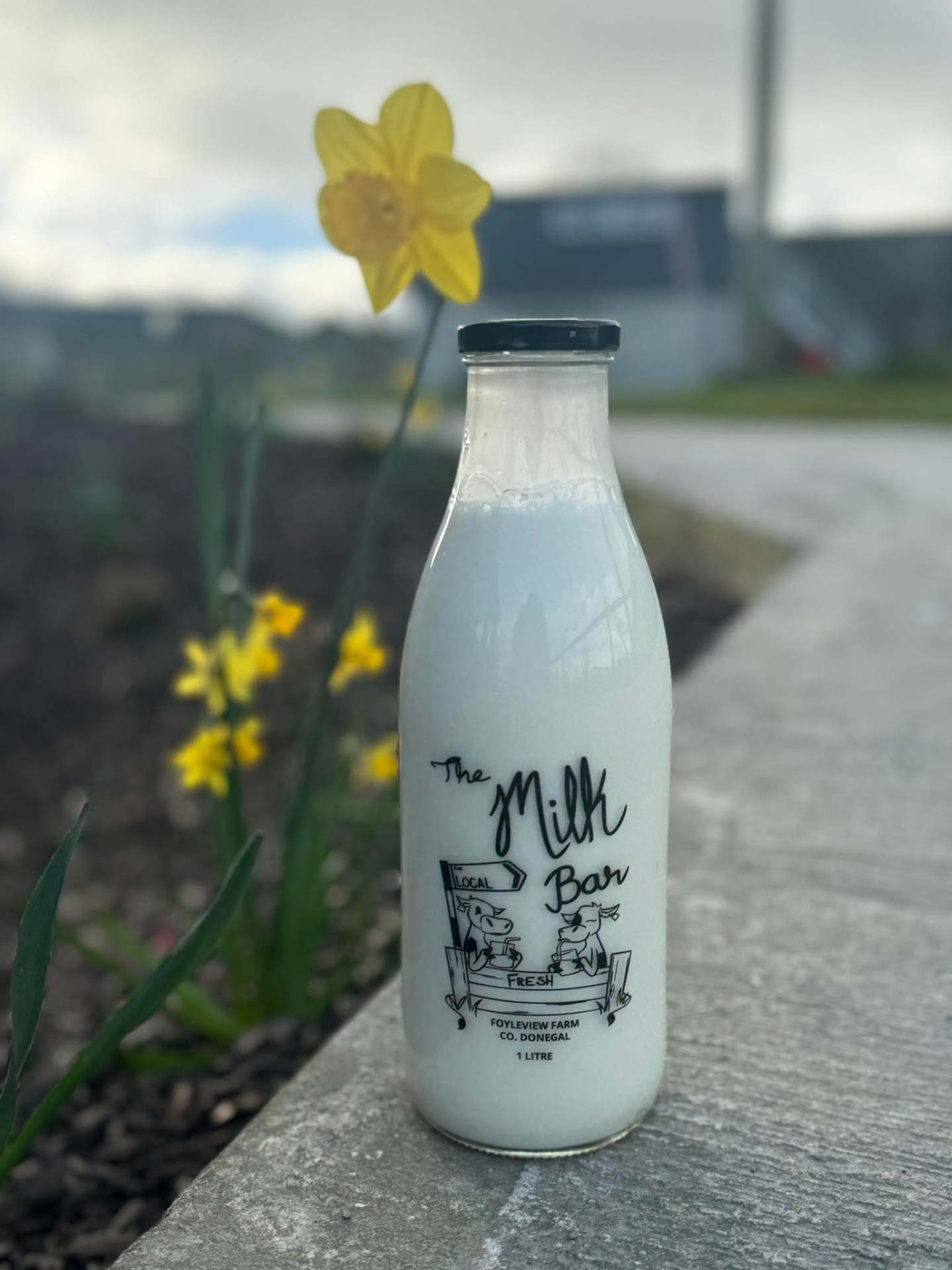 The Milk Bar 1L glass bottle of fresh milk beside daffodils