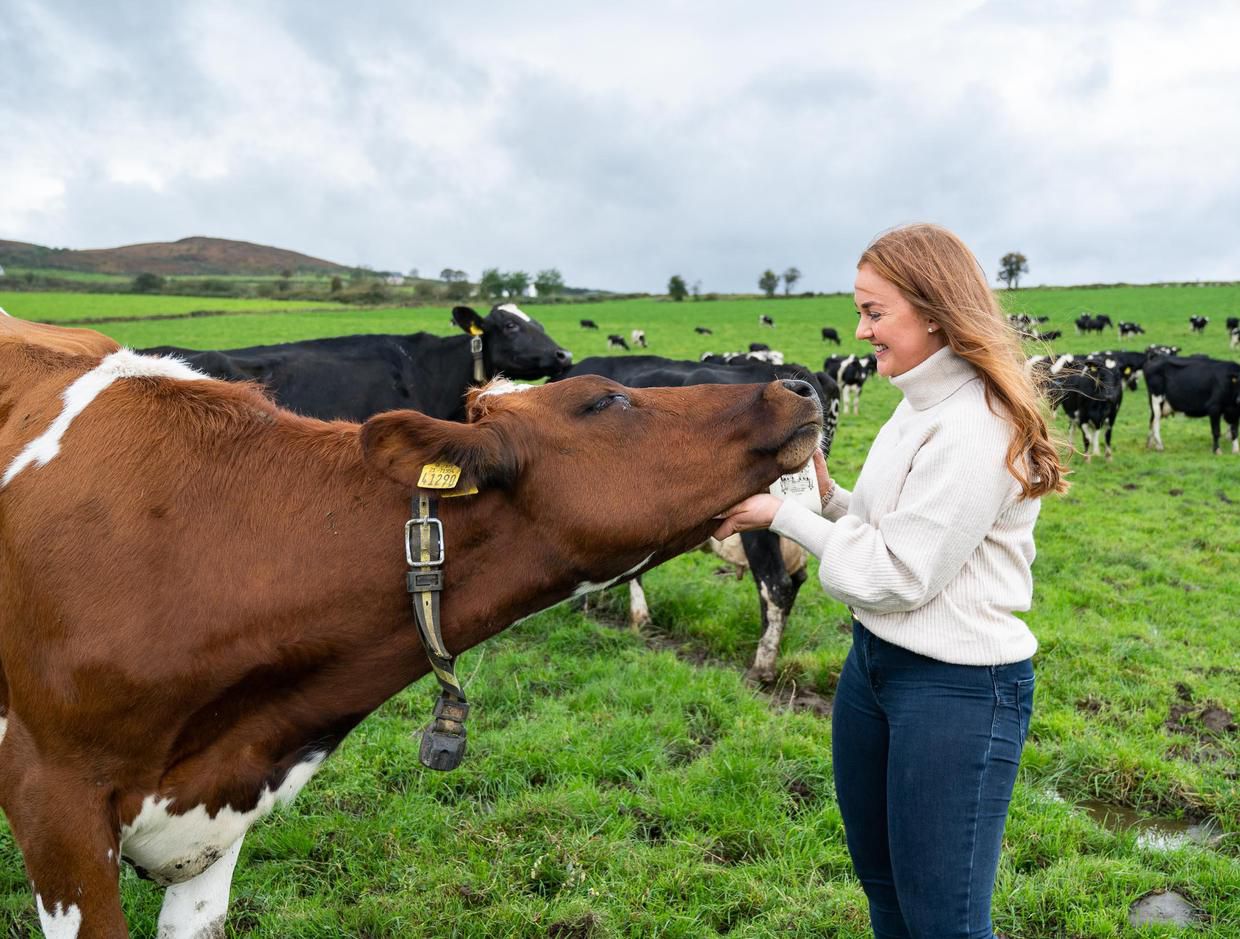 Megan nuzzling one of the herd in a Donegal field