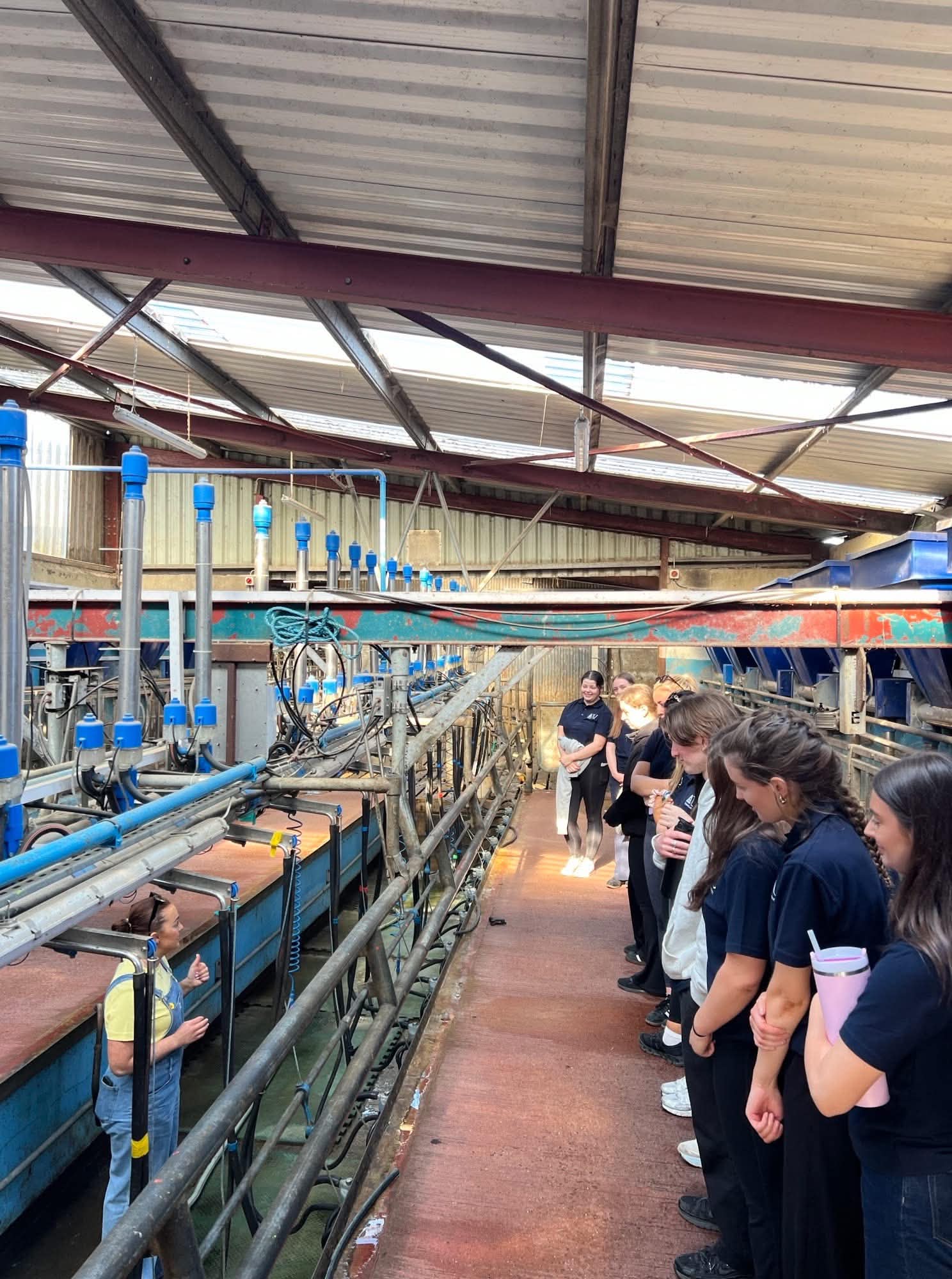 School children on a guided dairy farm visit